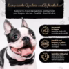 BONE APPETIT Rindfleischwürfel für Hunde, Hundefutter, Rind Kauwürfel, 300g - kleine Snack oder Leck