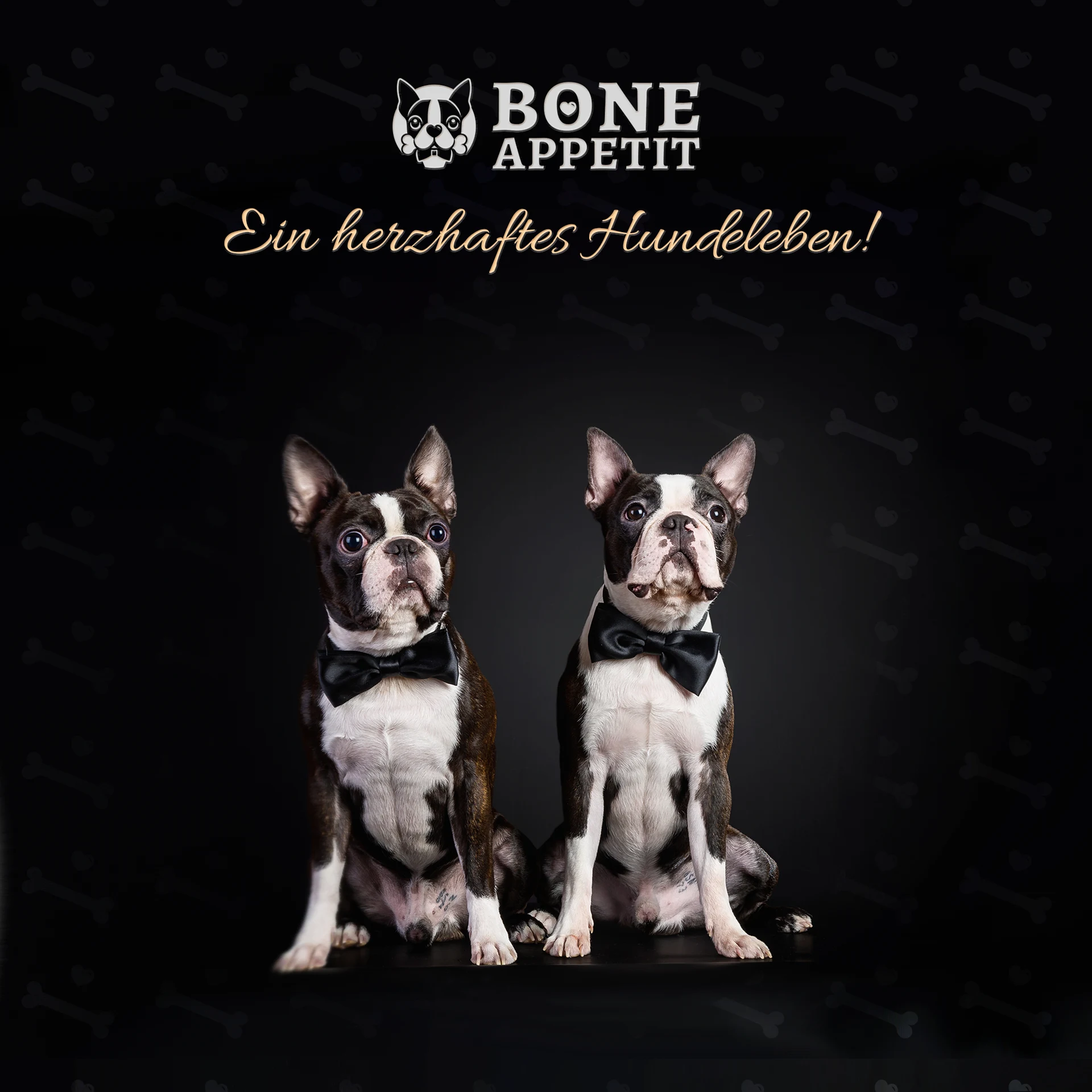 BONE APPETIT Rinderohren XL für Hunde, 10 Stück, Hundeleckerli, Zahnpflege, Glutenfrei - Naturkau Sn
