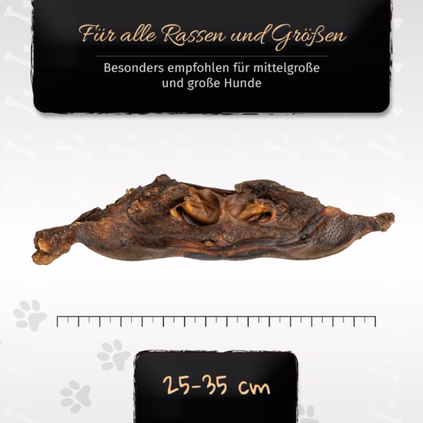 BONE APPETIT Rindernasen, Getrockneter Kausnack für Hund (circa 25–35cm) - Qualitätskauartikel ohne