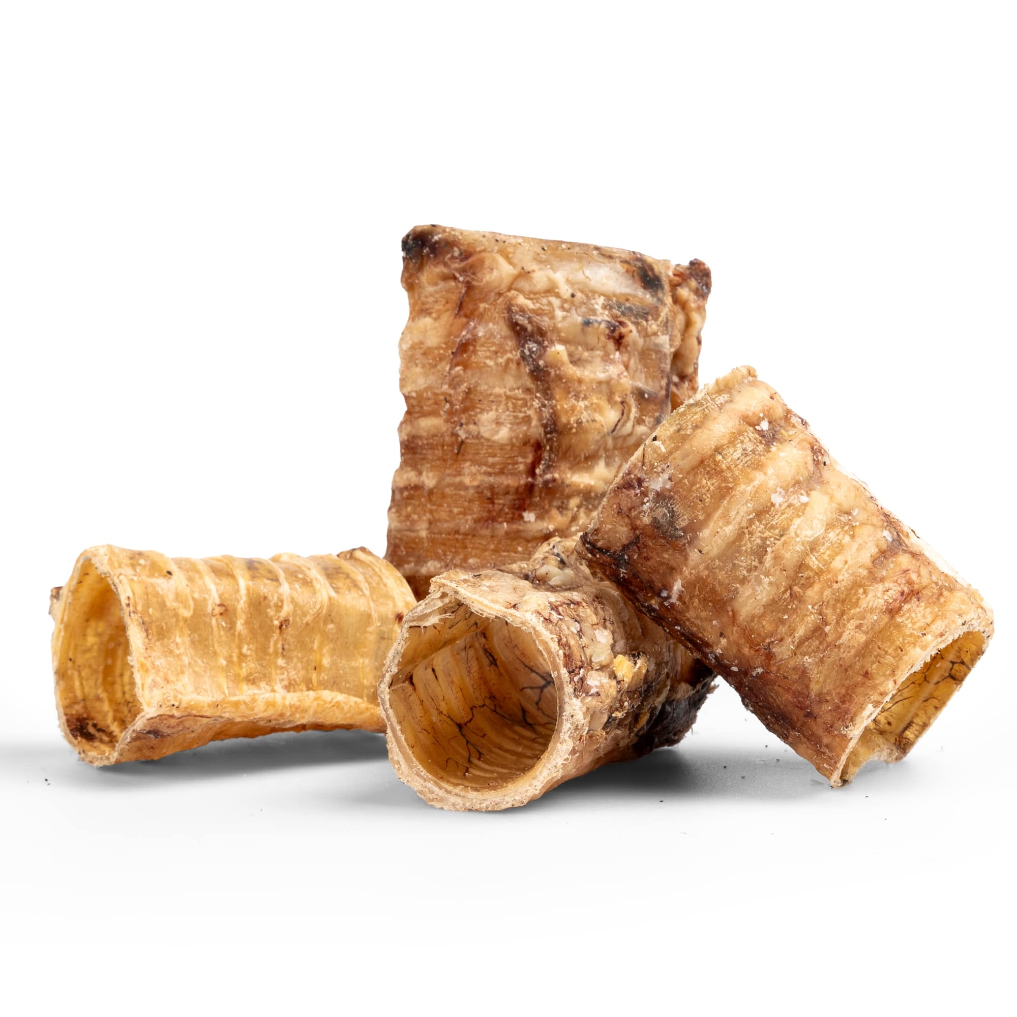 Rindertrachea