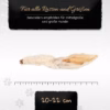 BONE APPETIT Kaninchenohren mit Fell für Hunde, Natur Kausnack, Kauohren, Kauartikel - 100% Natürlic